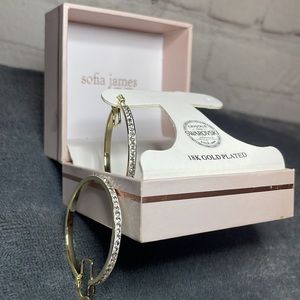 Swarovski crystal 18K Gold Plated Hoops